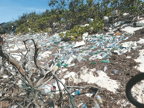 淨灘前後對比/海管處東沙管理站 提供
