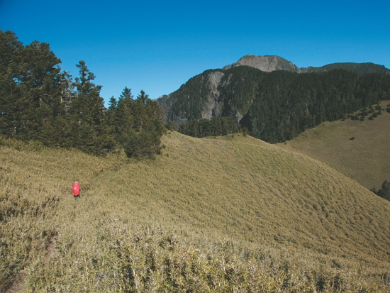 青年們選擇回到山林，走出傳承之路（圖為志佳陽草原）／雪管處 提供