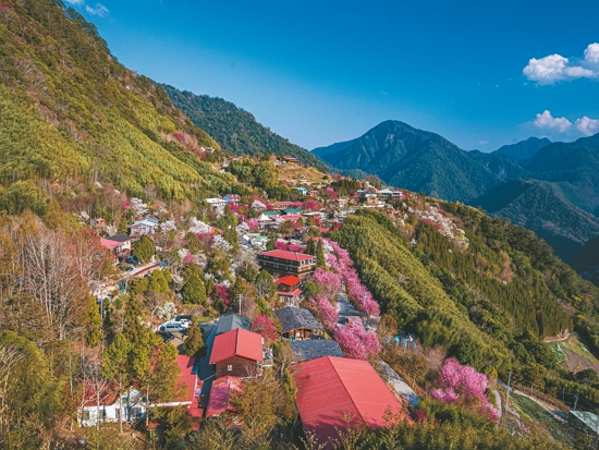 司馬庫斯部落／傑瑞大叔攝影作品