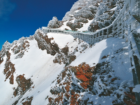 白雪皚皚的山林，對經驗豐富的山友仍是一大挑戰／何昌穎 提供