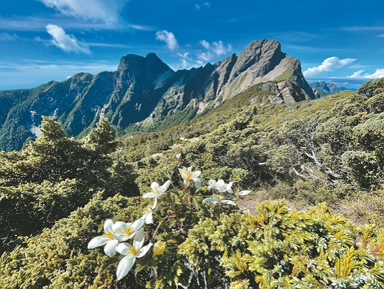 山一直都在，這次沒完成，下次做足準備再挑戰／何昌穎 提供