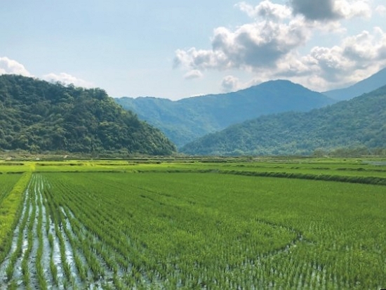 南安部落的有機田／蘇士雅 攝