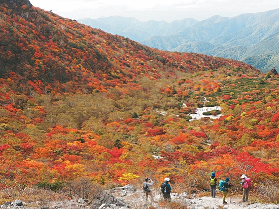 日本國家公園每年能吸引數百萬外國遊客造訪／日本環境省