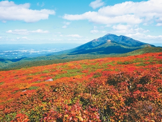 十和田八幡平國家公園／日本環境省