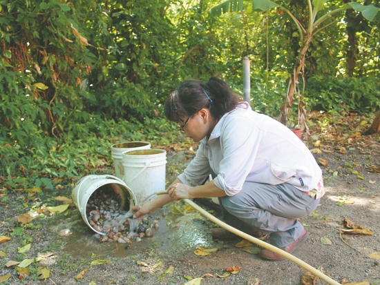 清洗發臭的貝殼也不以為苦／黃淑凰 提供