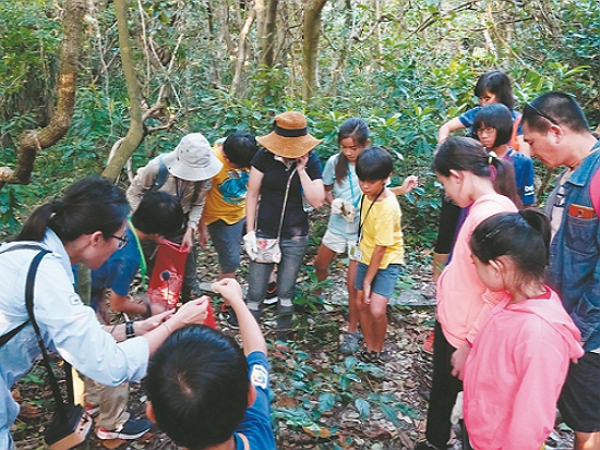近距離解說寄居蟹生態／墾管處 提供