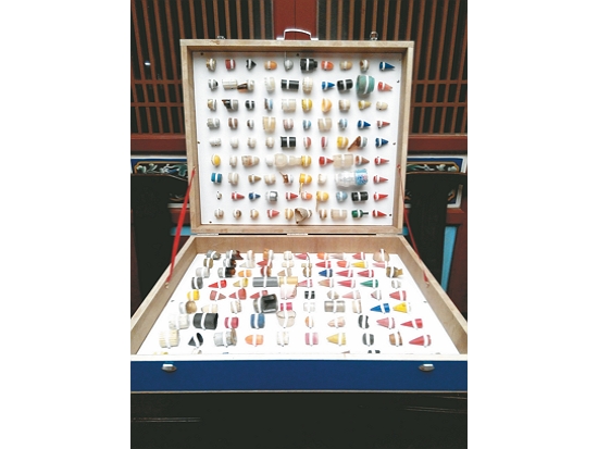 裝滿寄居蟹「舊家」的皮箱／黃淑凰 提供