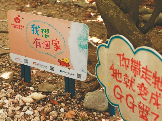 位於港口社區的快樂天堂／墾管處 提供