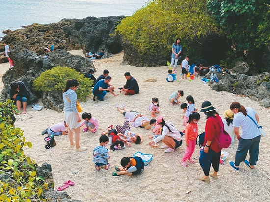大小朋友在情人灘上觀察寄居蟹／黃淑凰 提供