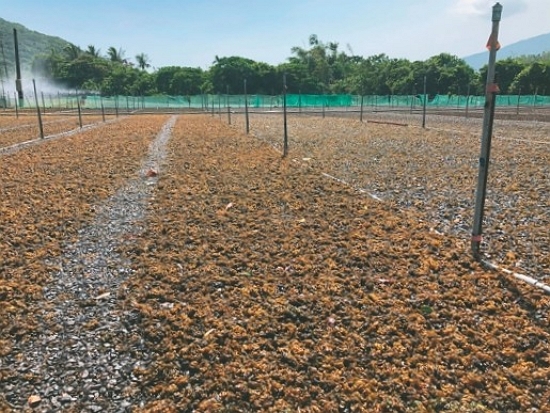 靚雨菇來－里德農遊樂