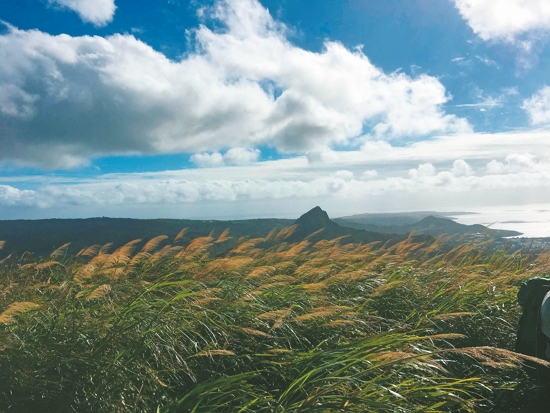 山聲海韻大山母