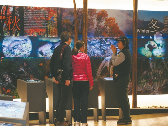 生態中心內詳細介紹觀霧山椒魚生態與棲地資訊／雪管處 提供