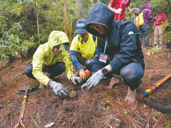 志工參與觀霧山椒魚棲地營造工作／雪管處提供