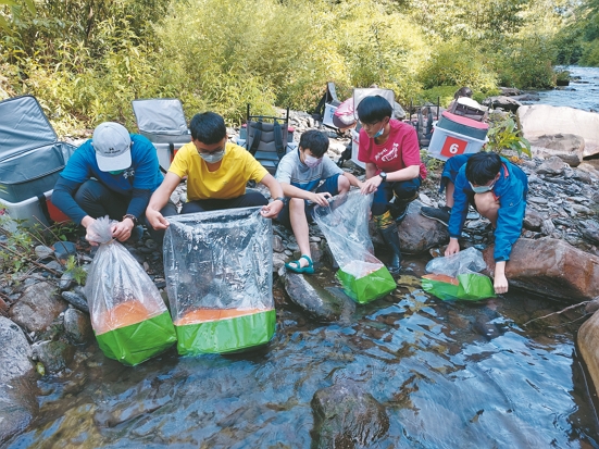 雪管處人員進行臺灣櫻花鉤吻鮭放流／雪管處提供