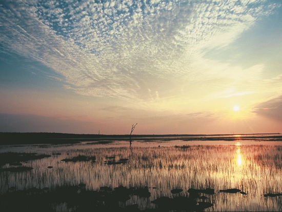 以夕陽景色聞名的高美濕地（游一志攝）