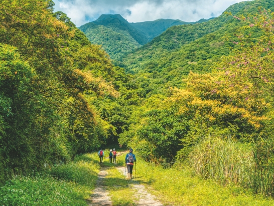 國家公園守護珍貴森林資源／楊懷智攝