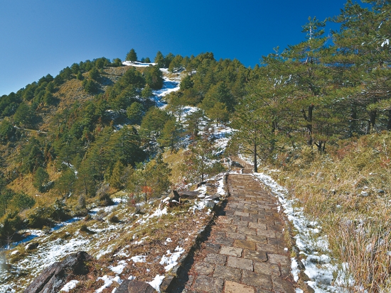塔塔加擁有愜意舒適的步道系統，適合遊客造訪／何小綠攝