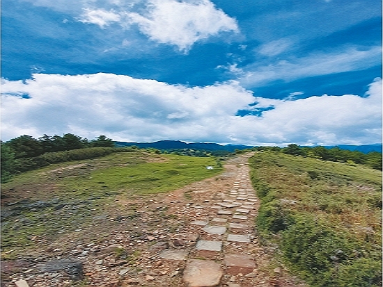 做為防火間隔的草坡，具有防止火勢延燒的作用