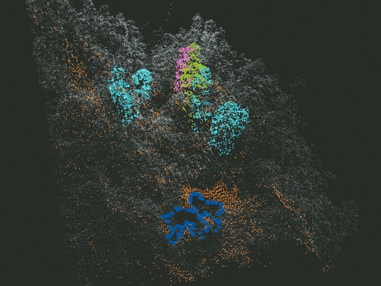 桃山神木生長地之光達圖（綠色是桃山神木，深藍色是桃山神池，洋紅青綠是其它巨木）