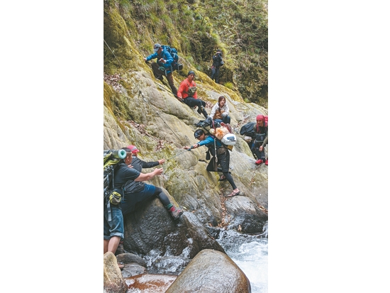 前往巨木所在地的路途往往充滿挑戰