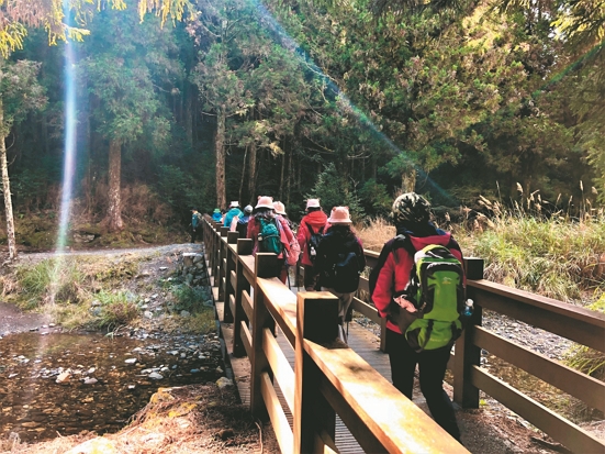 輕輕走在步道上―元旦觀霧榛山健行趣