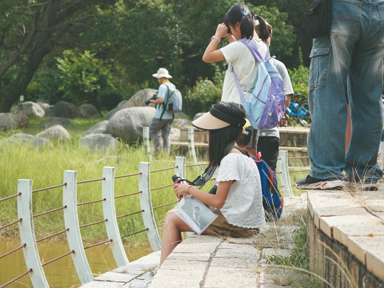 假日親子活動 - 鳥類生態觀察