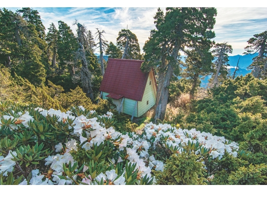 (春暖花開，以新年度主題展開新氣象／段小豪)