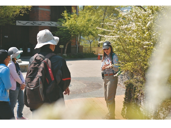 霧裡看花──觀霧步道植物導覽
