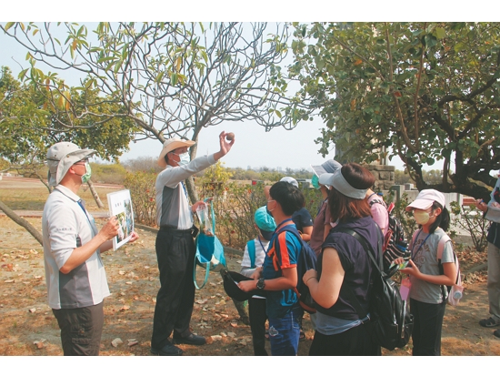 安順鹽場植物生態及鹽田體驗之旅
