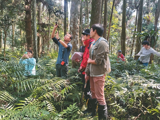  進行林木調查隊現地訓練