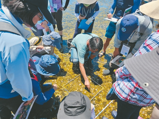 眾人一同進入潮間帶進行調查／海管處 提供