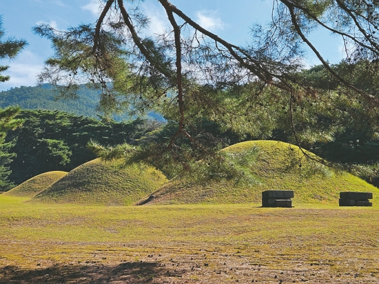 臺灣代表團參訪慶州歷史遺址拜洞三陵／陽管處 提供