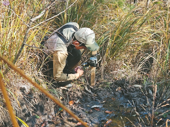 進行生態監測與環境變化研究／陽管處 提供