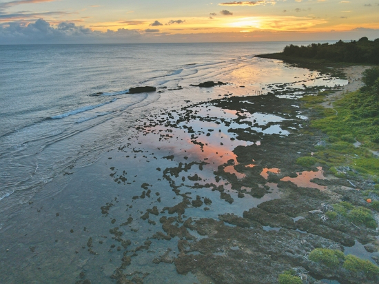潮間帶是海洋生物多樣性的重要寶庫（圖為萬里桐潮間帶）／陳忠能 攝