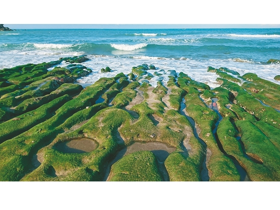 新北石門的老梅綠石槽地景不僅具有休閒遊憩功能，也有生態、研究等重要價值／國家公園署海岸計畫科 提供