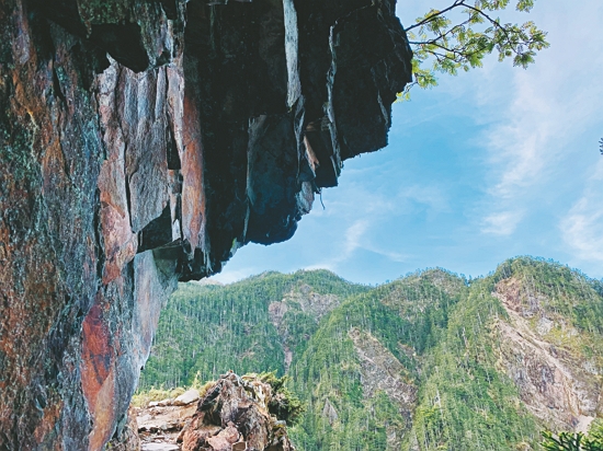  在叢山峻嶺的岩壁上，其實也有濕地存在／方偉達 提供（洪敏智 攝）