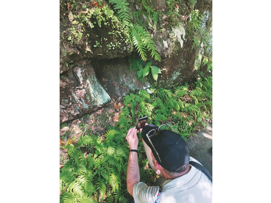 觀察垂直濕地的植物種類／方偉達 提供（洪敏智 攝）