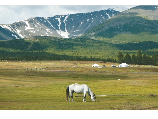 蒙古有 80% 的土地由草原覆蓋，是重要的碳匯資源／ Ariungoo Batzorig 提供 