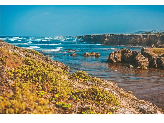 海洋領土超過 185,000 平方公里的貝巴多，擁有豐富的海洋生物 ／Tom Jur 提供 