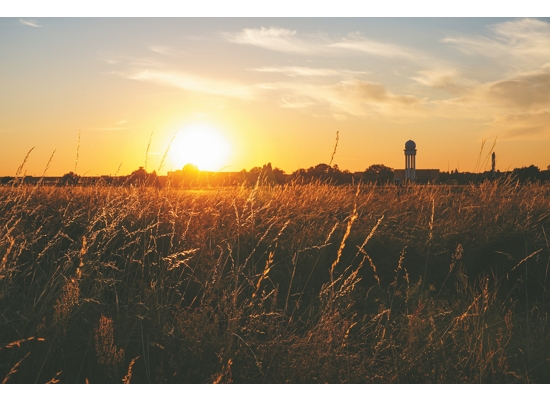 滕珀爾霍夫公園（Tempelhofer Feld）前身為機場，如今是以自然為導向的社區休閒場所／ Ralf Knüfer 提供 