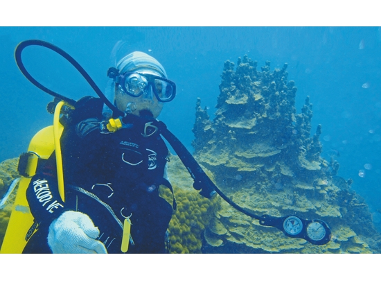  東沙水下環境調查