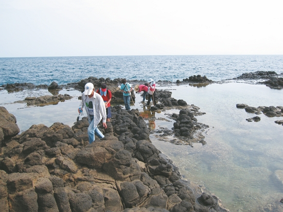 勘查澎湖南方四島之一西吉嶼的環境