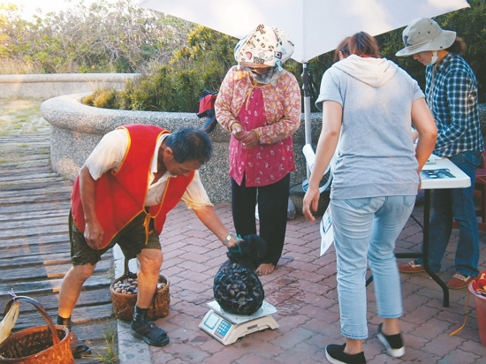 居民的採集活動需經過登記管理