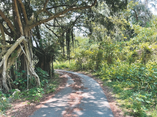 城西社區生態自行車步道