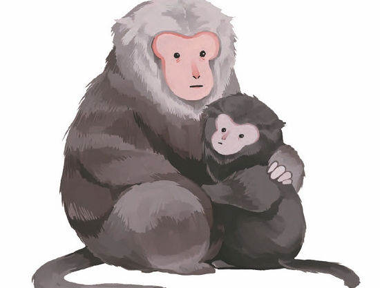 插圖來源：《向山學習》手冊