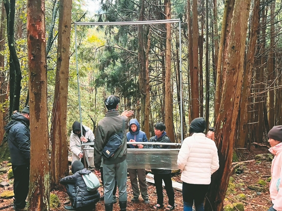 架設用於蝙蝠調查的豎琴網／雲林縣立樟湖生態國民中小學 提供