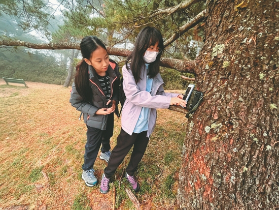 確認紅外線攝影機拍攝視角／玉管處 提供