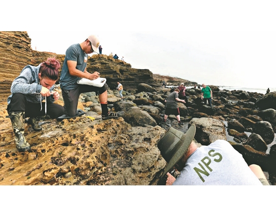   參與 RLC 的公民科學家／美國國家公園署提供