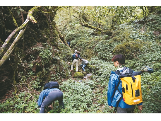 參訪太魯閣國家公園，尋找山椒魚的蹤跡／雪管處 提供