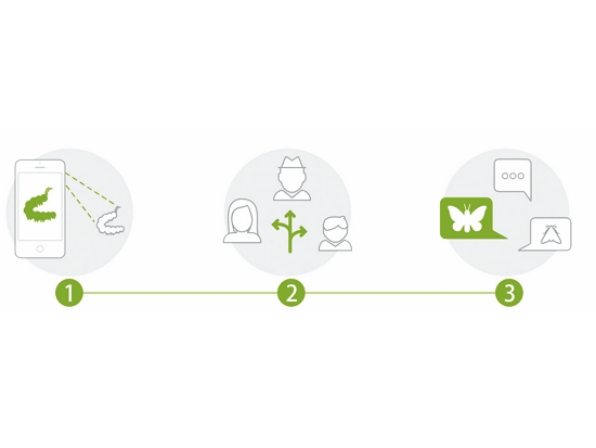 iNaturalist 的運作模式
